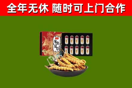 天峨县烟酒回收冬虫夏草礼盒.jpg
